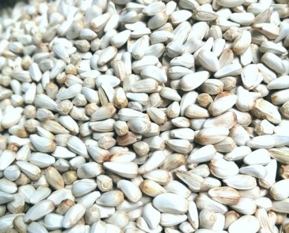 Hạt kham trăng dành cho hamster, chim, sóc, vẹt....