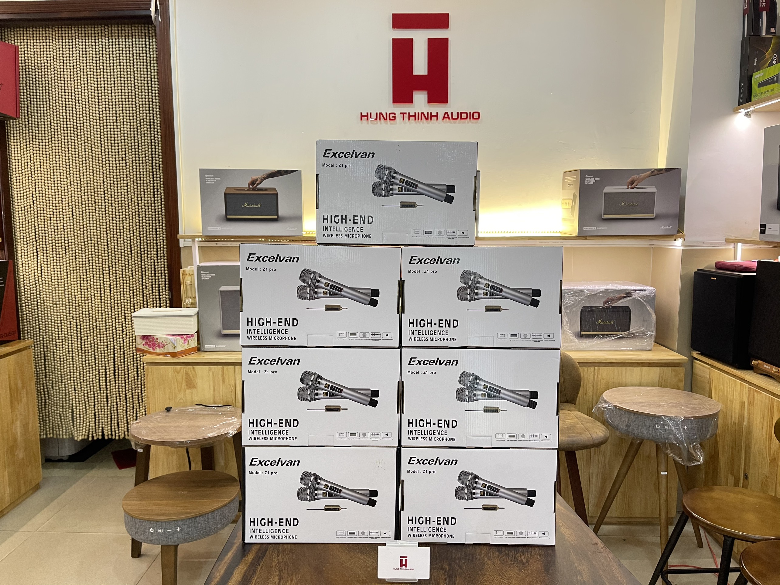 Micro không dây excelvan z1 pro