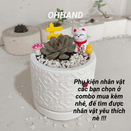 Chậu sen đá mini trồng cây, chậu trồng xương rồng