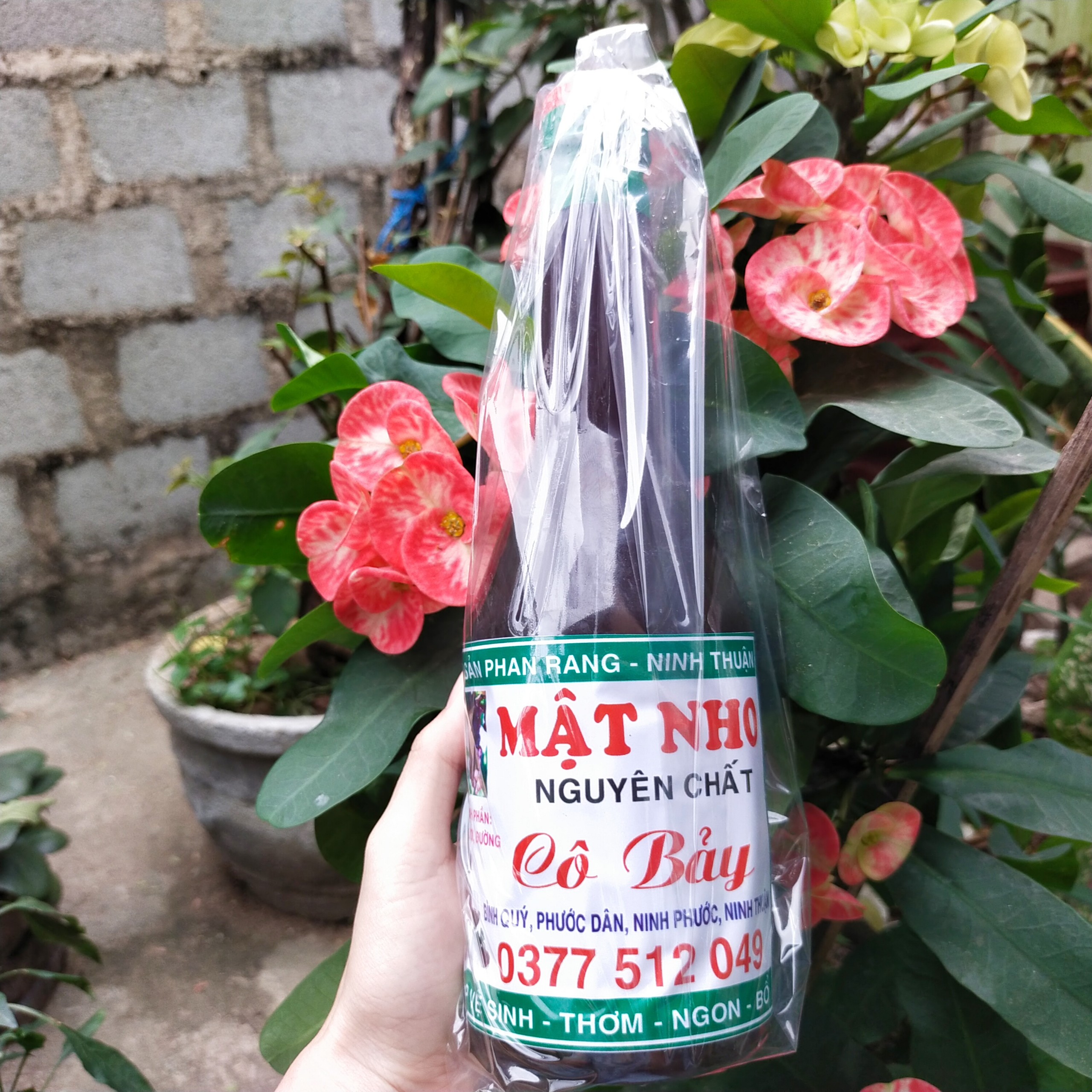 Mật nho