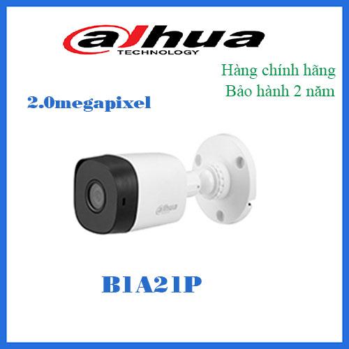 Camera  B1A21P 2.0MP