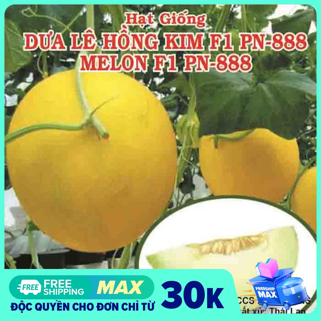 Hạt giống dưa lê Hồng Kim, PN 888, gói 10 hạt 300gram