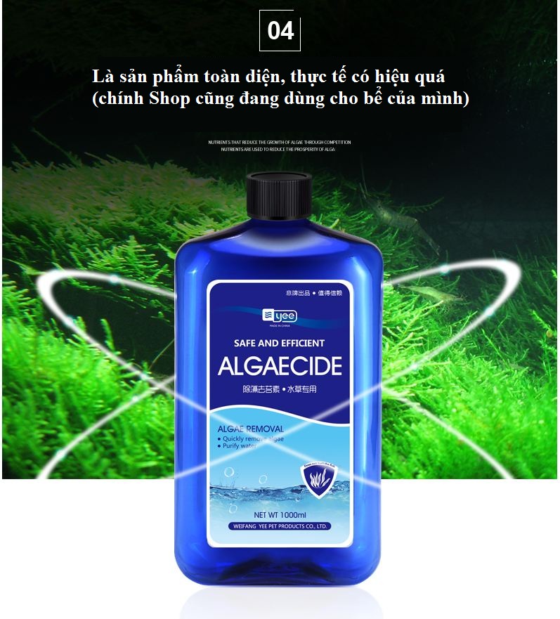 Algaecide diệt rêu tảo hại cho bể cá (tặng bông lọc)