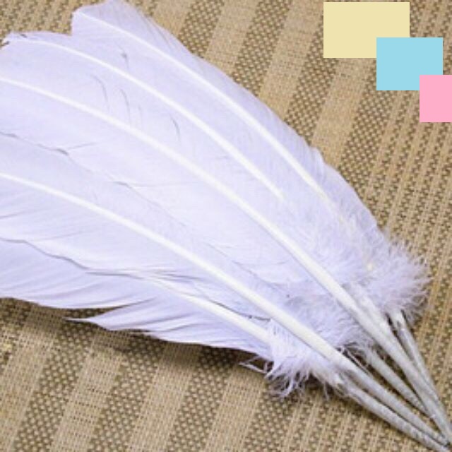 Lông gà thông điếu 10 lông sạch đẹp