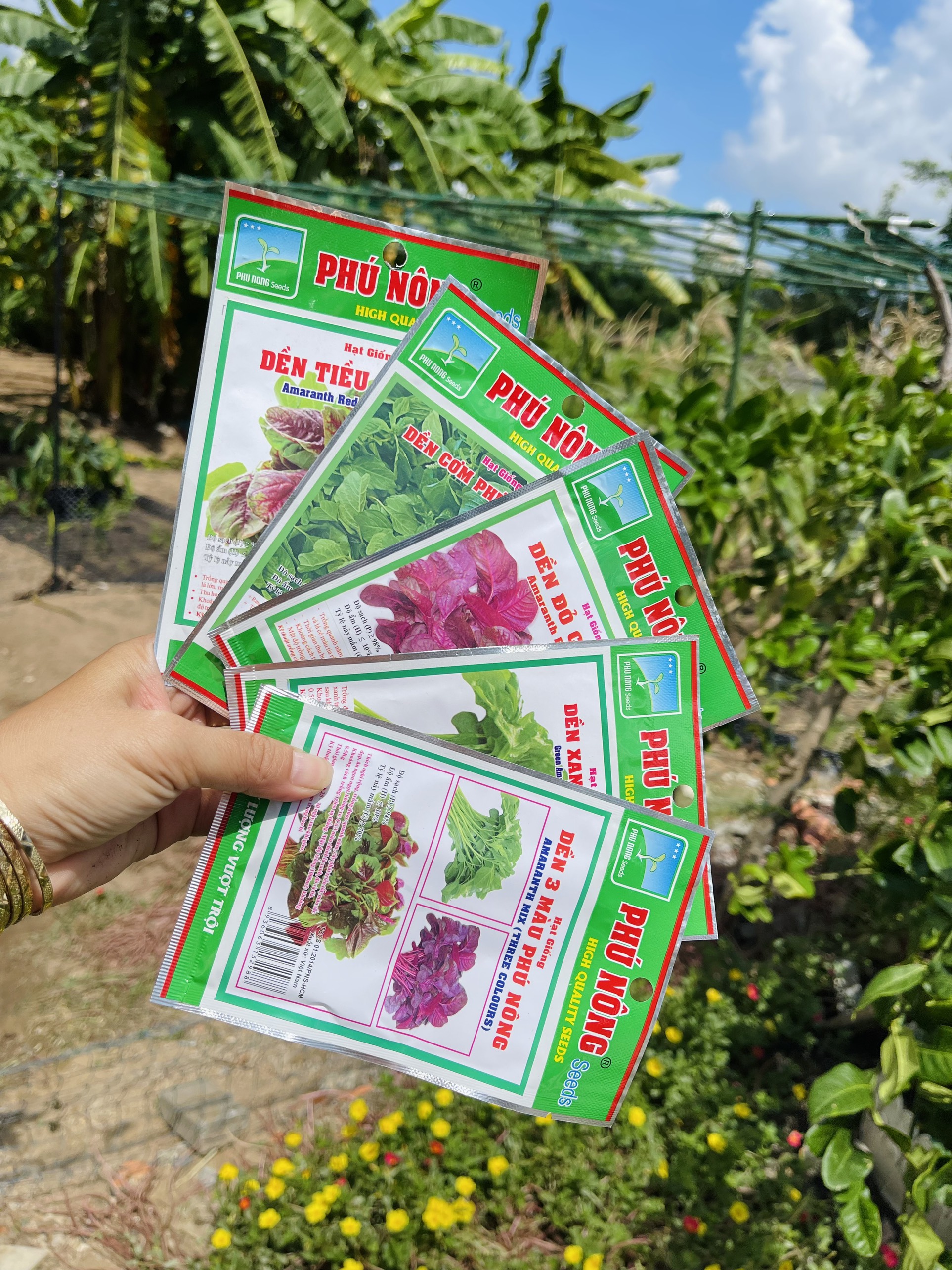 Hạt giống rau dền Phú Nông đủ các loại