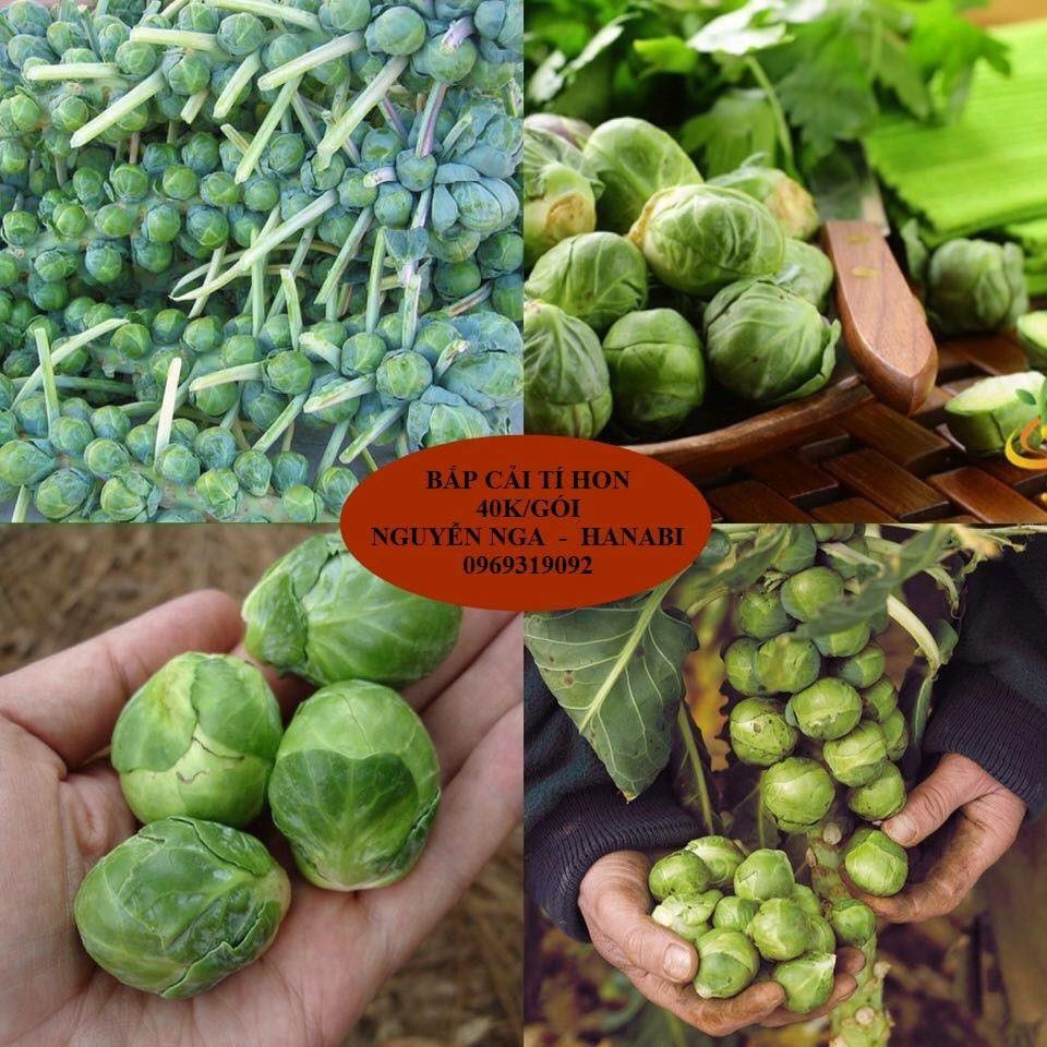 Hạt giống bắp cải tí hon xanh f1