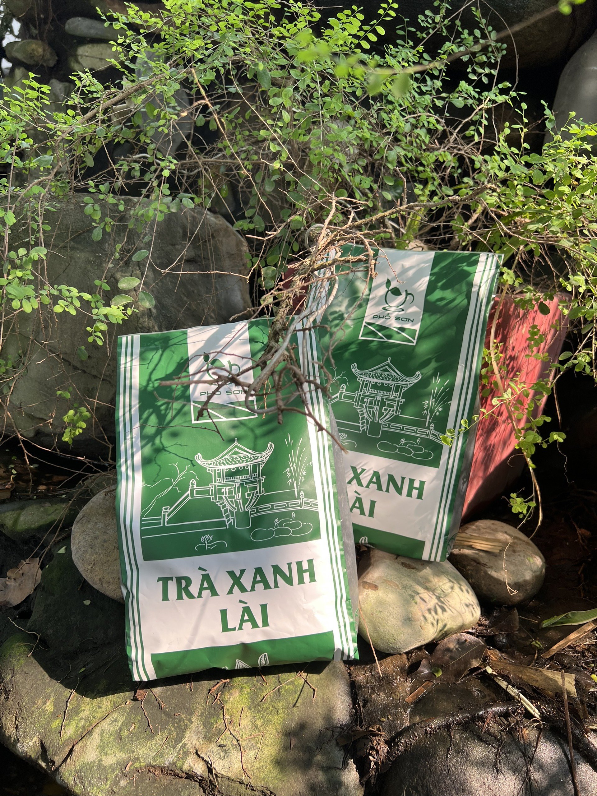 Trà phổ sơn 500gr