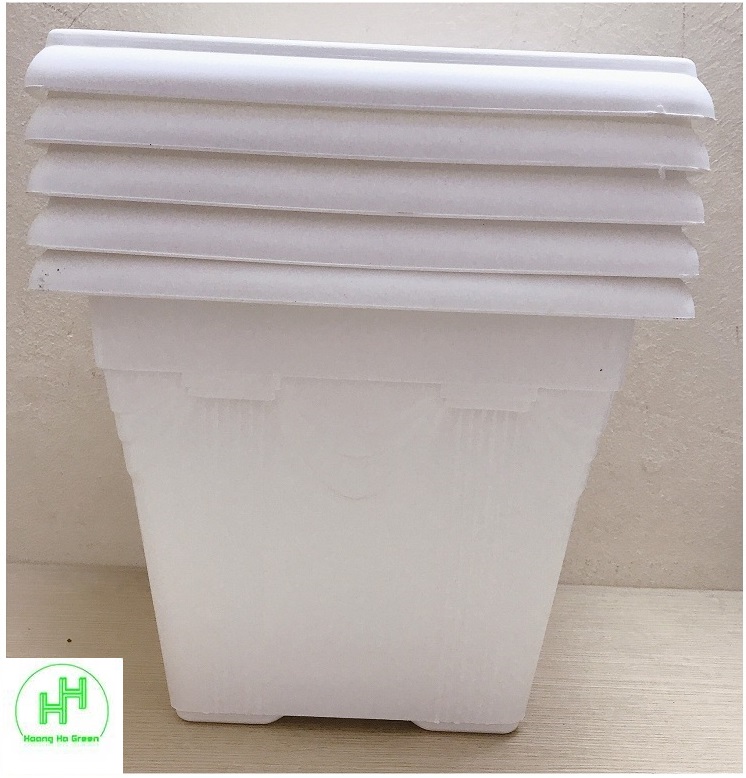 5 chậu nhựa trồng hoa, cây cảnh bình thuận v30x30x26