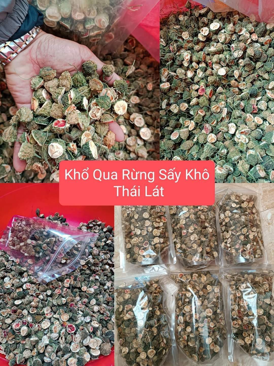 Khổ qua rừng sấy khô - thảo dược cho người tiểu đường, hỗ trợ g.iảm cân