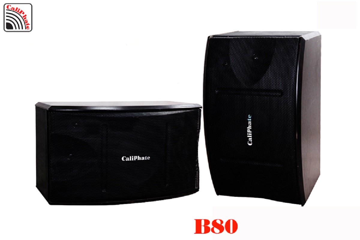 CẶP LOA NGHE NHẠC, KARAOKE HÌNH THẬT NGHE CỰC HAY, ÂM THANH CHUẨN Loa treo tường XIMAX bass 20 B80 1 đôi, Bose 101