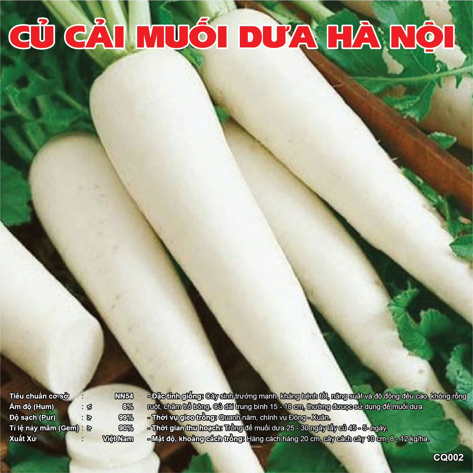 Hạt giống củ cải trắng, củ non, ngọt, giòn, dễ trồng, dễ chăm sóc, cây khoẻ, năng suất cao CQ002 - svina seeds