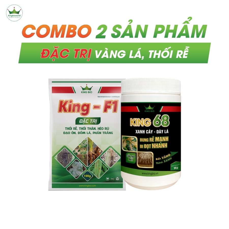 Combo trị vàng lá thối rễ, kích rễ, bung đọt, cải tạo đất, trị nấm bệnh