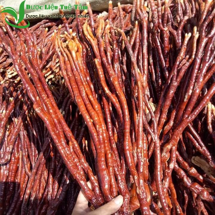 [HCM]500gr Nấm linh chi sừng hươu - Nấm sừng hươu