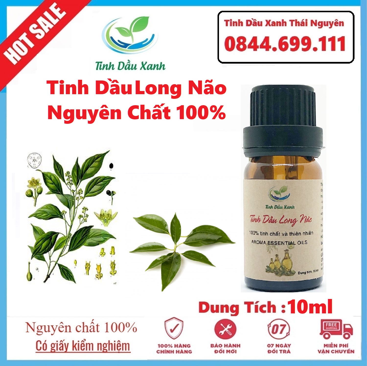 Tinh Dầu Long Não Nguyên Chất 10ml