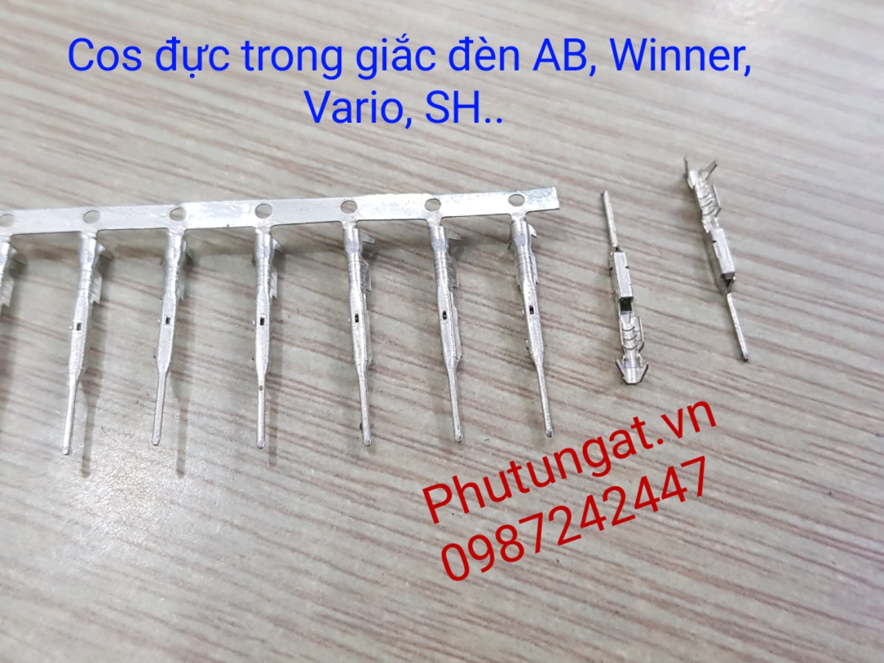 Cos Đực trong giắc đèn chính Vario Winner AB SH...