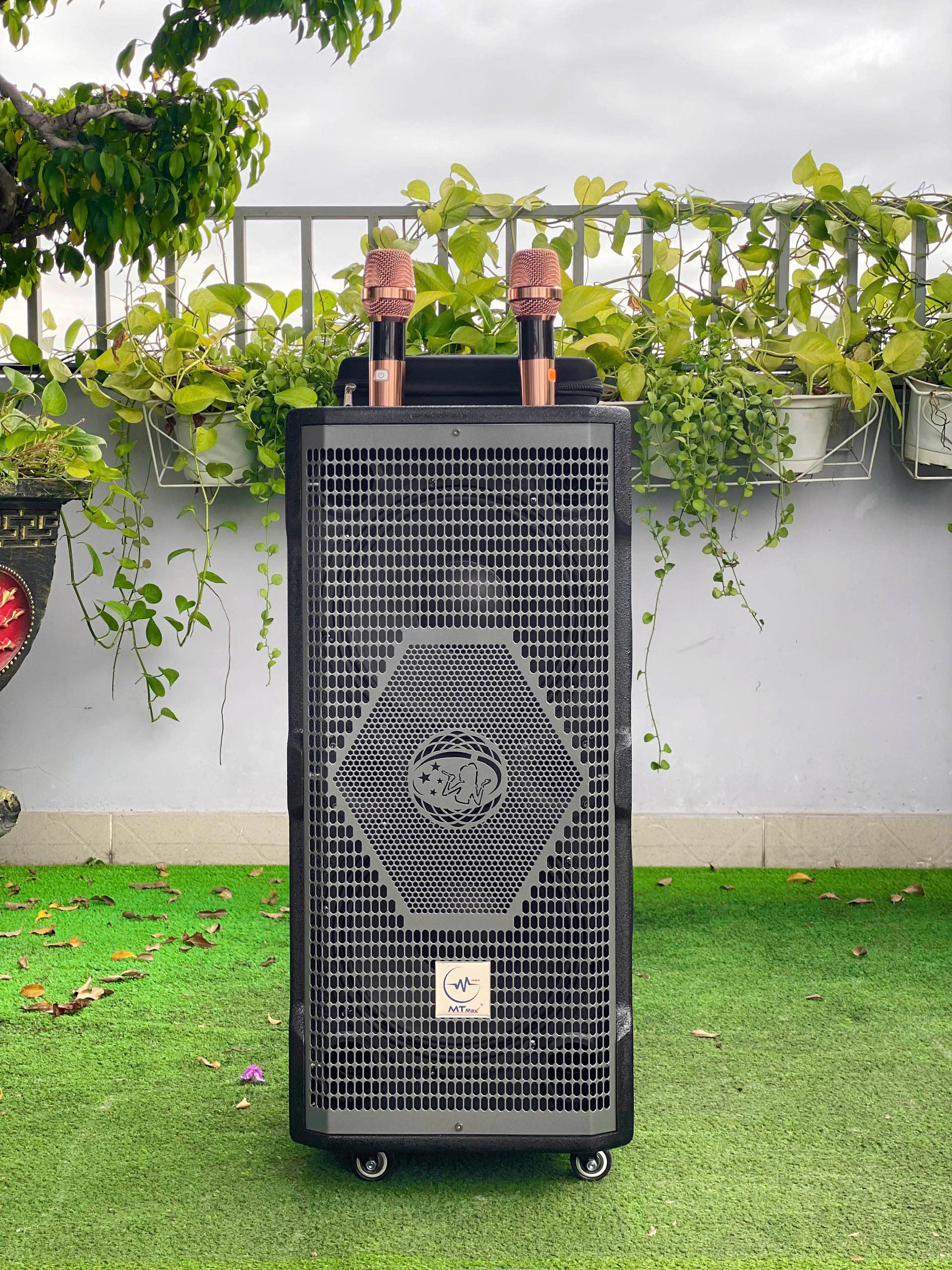 Loa Kéo Karaoke Q01 Bass Đôi 25cm – Công Suất 700W – 8 Đường Tiếng – Kèm 2 Micro UHF