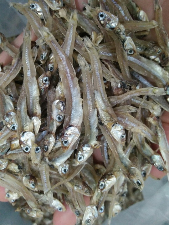 Cá cơm kho khế, cá cơm khô đặc sản Nha Trang đóng túi hút chân không 500gram