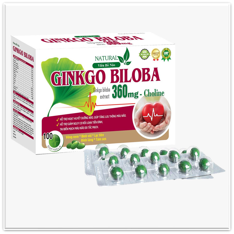 Viên Uống Bổ Não Ginkgo Biloba 360mg Hỗ trợ hoạt huyết dưỡng não, giúp tăng lưu thông máu não giảm nguy cơ rối loạn tiền đình, tai biến mạch máu não do tắc mạch -Hộp 100 viên- Dược Phẩm Bách Lộc