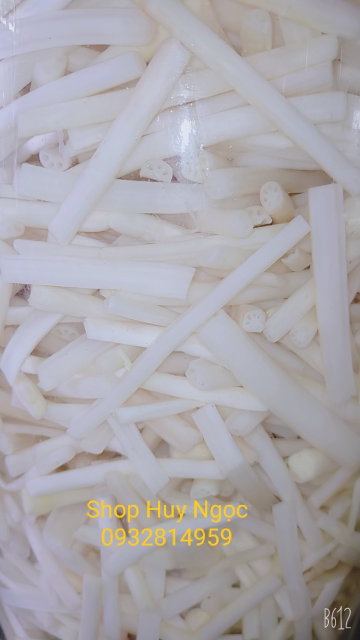 NGÓ SEN NGÂM CHUA NGỌT 1KG