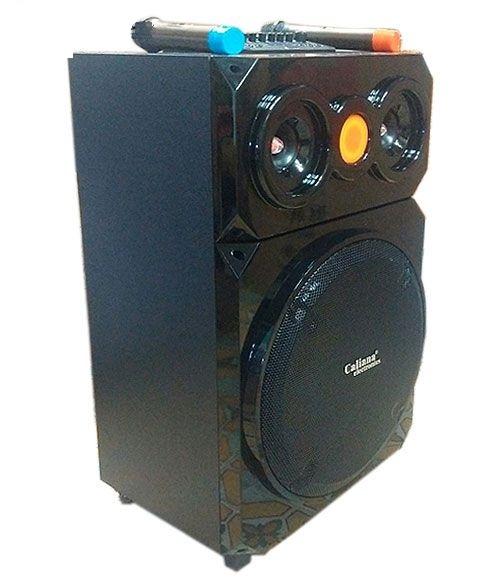 Loa kéo di động Caliana WD-15 - 4 Tấc Gỗ - sang trọng+ Tặng chống lăn micro cao cấp