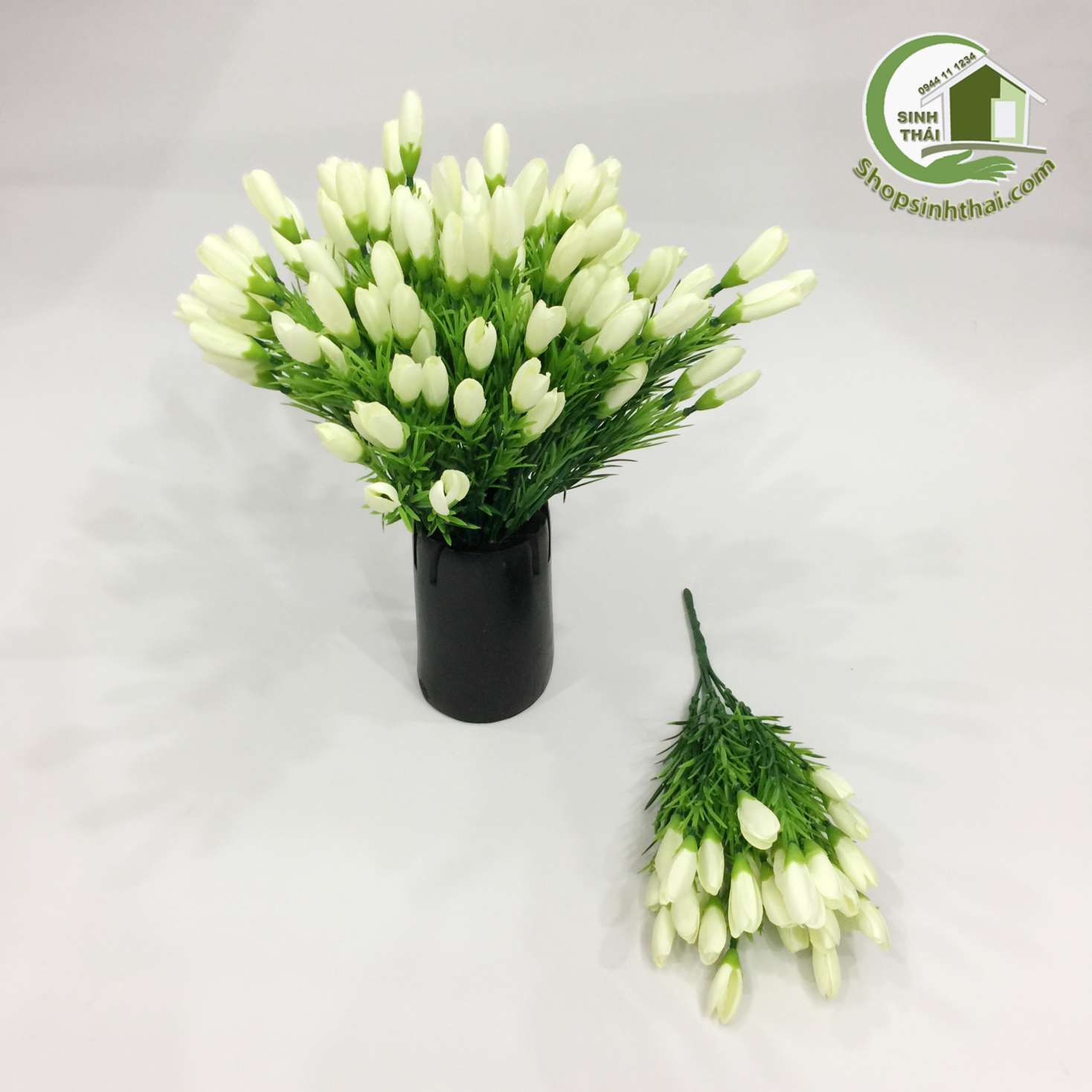 Bụi hoa tulip nhí màu trắng
