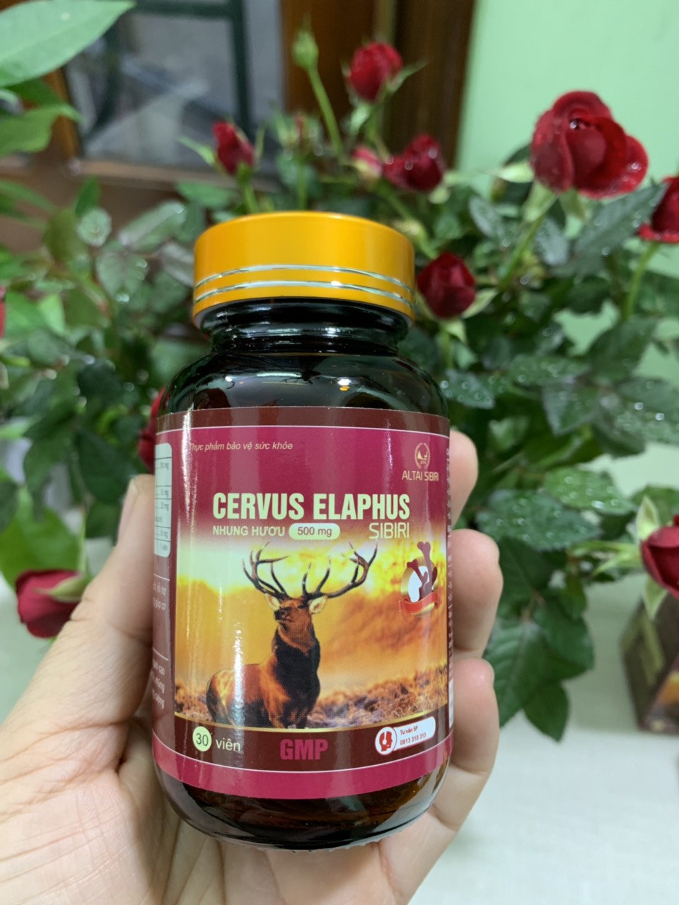 Viên NHUNG HƯƠU Cervus Elaphus - 30 viên liên doanh Việt - Nga