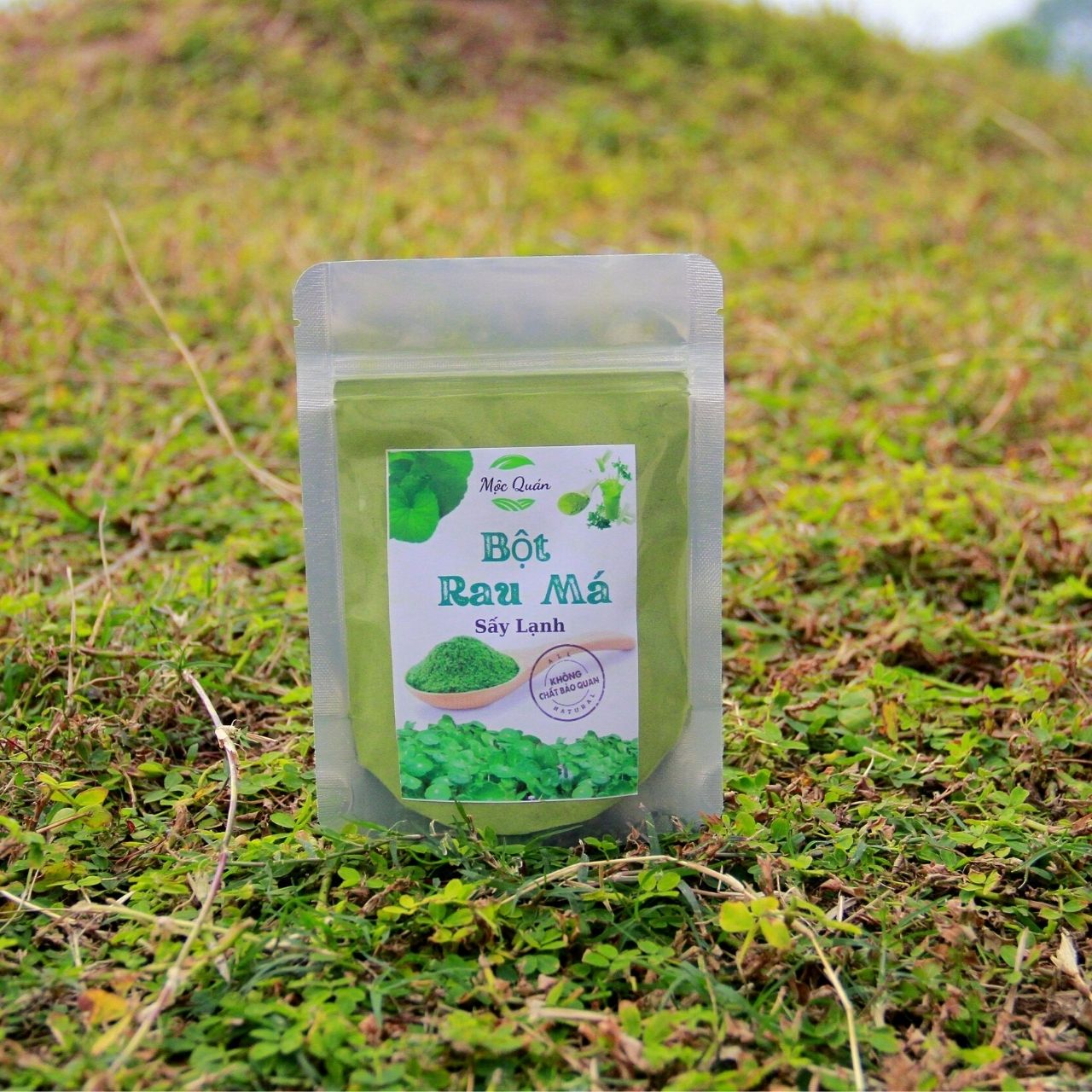Bột Rau Má Nguyên Chất Sấy Lạnh 50gr Mộc Quán - Đắp Mặt, Dưỡng Da, Giảm Mụn - Mát Gan, Thanh Nhiệt, Giải Độc - Mộc Quán
