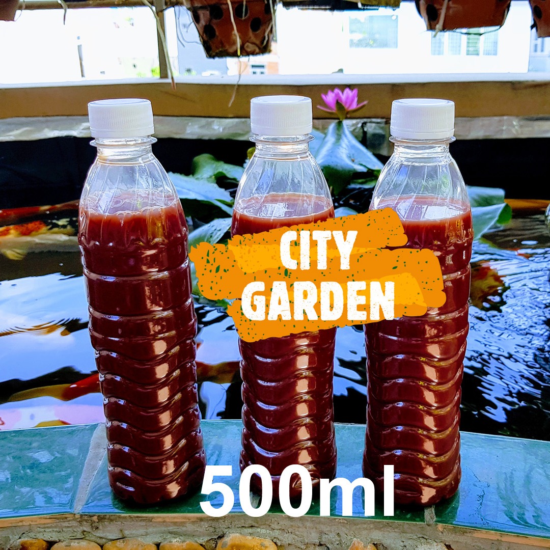 [HCM][APP FREESHIP 30K] 500ml Vi khuẩn quang hợp vi khuẩn PSB vi sinh tươi (HÀNG MÀU ĐỎ ĐẬM)