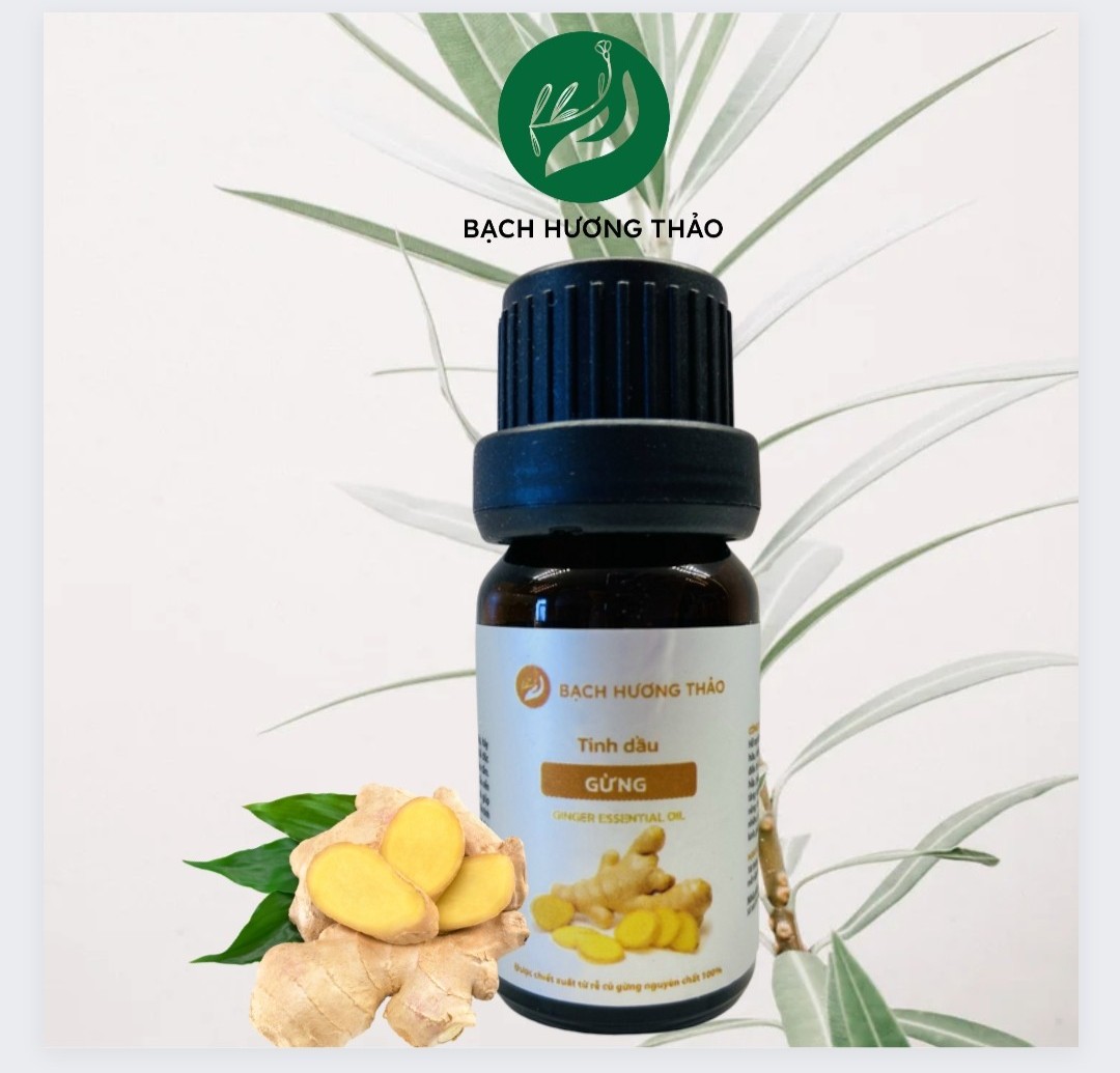 Tinh dầu gừng 10ml, 30ml , 50ml nguyên chất cao cấp tự nhiên , không pha - ginger essential oil, dùng cho máy khuếch tán tinh dầu, xông hơi, dầu massage, hương thiên nhiên, bạch hương thảo