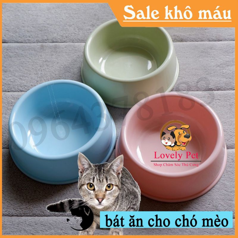 Bát đựng đồ ăn chó mèo