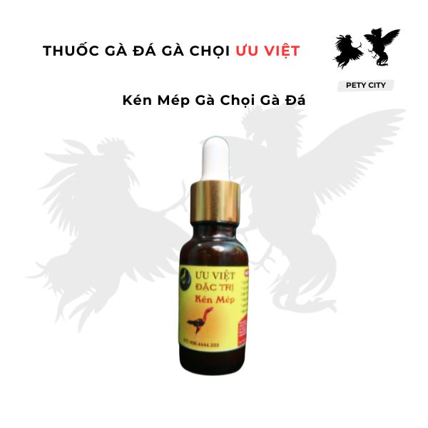 Kén mép gà chọi gà đá ưu việt