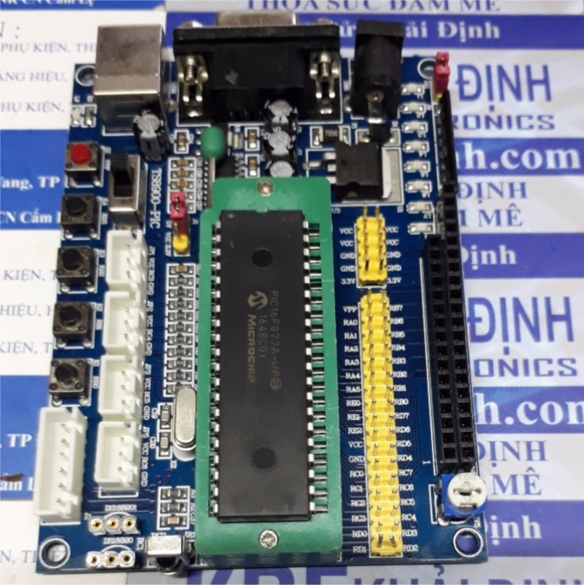 Kit thực hành, kit phát triển, kit thí nghiệm pic pic16f877a + cáp, header, cọc đồng kde4644