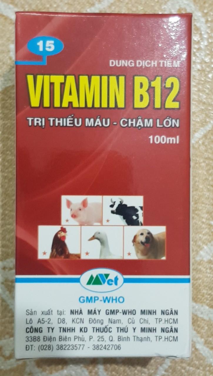 Vitamin B12 giải độc cho hoa lan - Vtamin B12