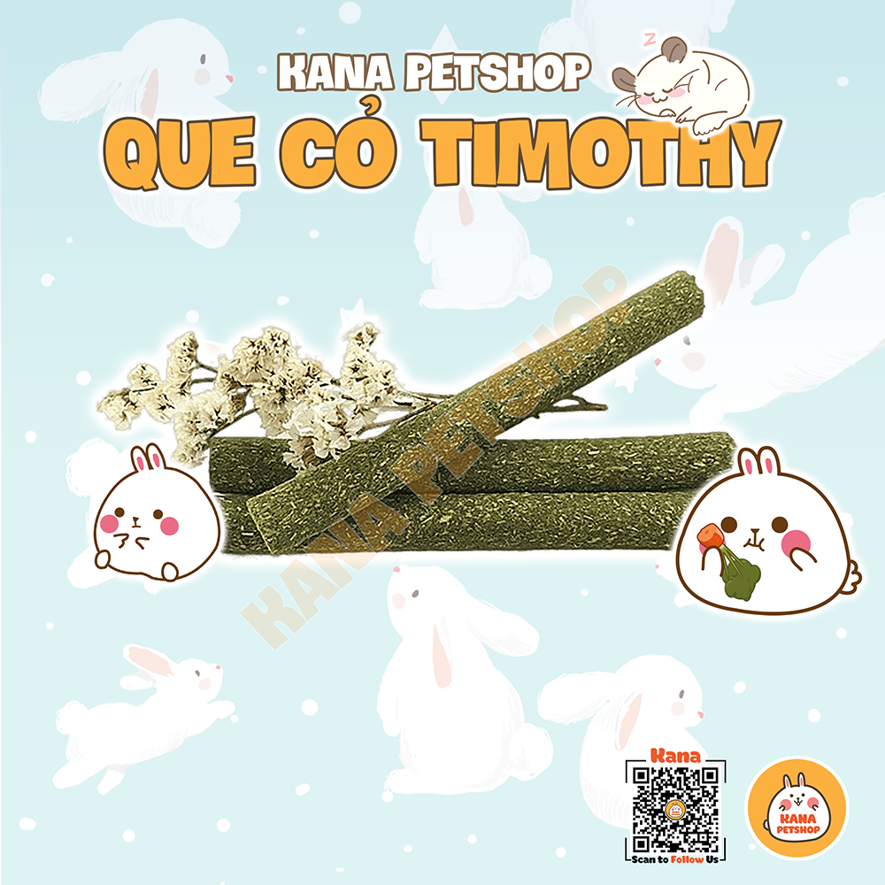 Bánh Cỏ Timothy FREESHIP Bánh Mài Răng Bánh OXBOW  Thức Ăn Cho Thỏ BọGà Hamster