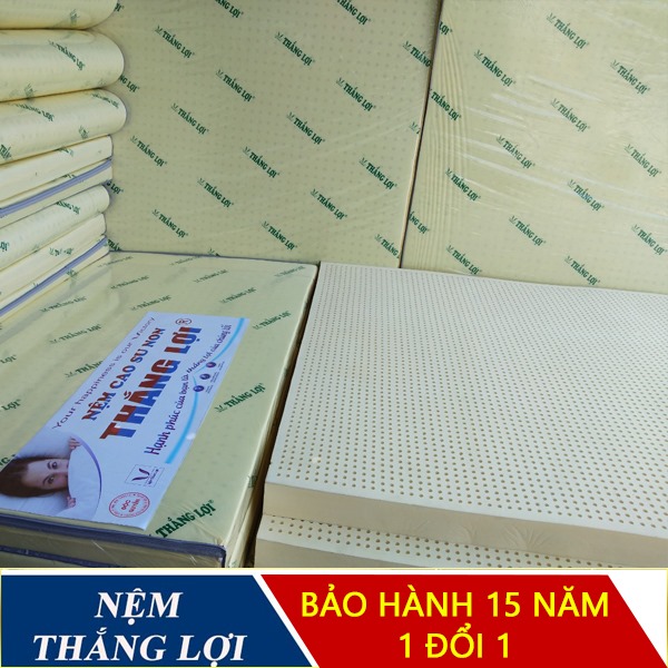[HCM]Nệm Cao Su Non Thắng Lợi size 1m8 x 2m x 20cm loại Cao Cấp
