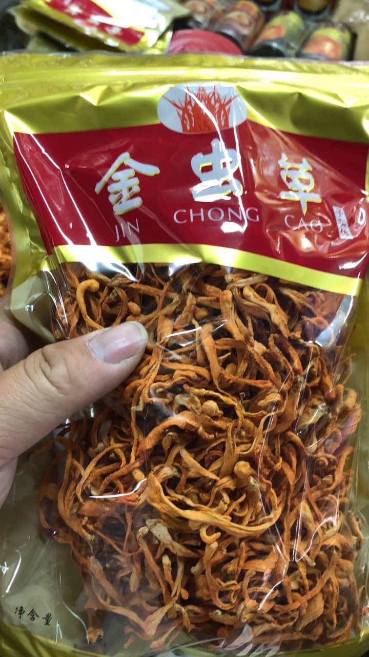 Bông Đông Trùng Thảo