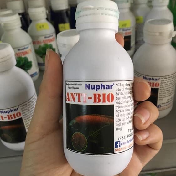 Anti-Bio làm hết nấm cho cá cảnh