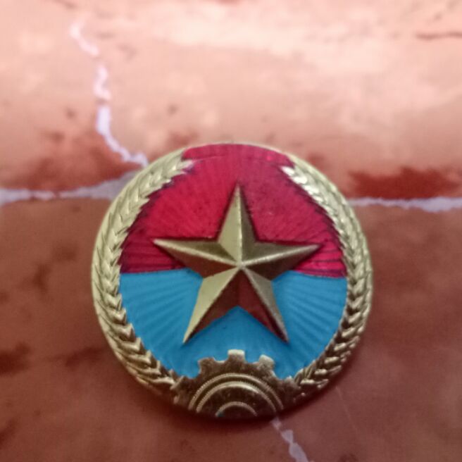 Huy hiệu cài mũ Vietcong badge