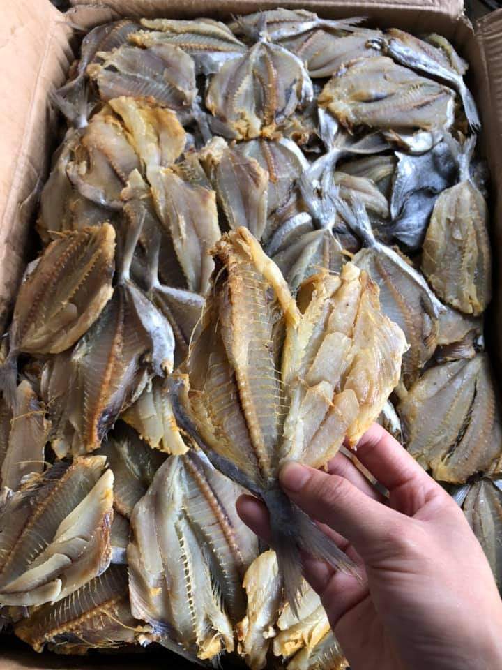 1kg cá sứa (cá hạt bí) khô thịt béo, thơm