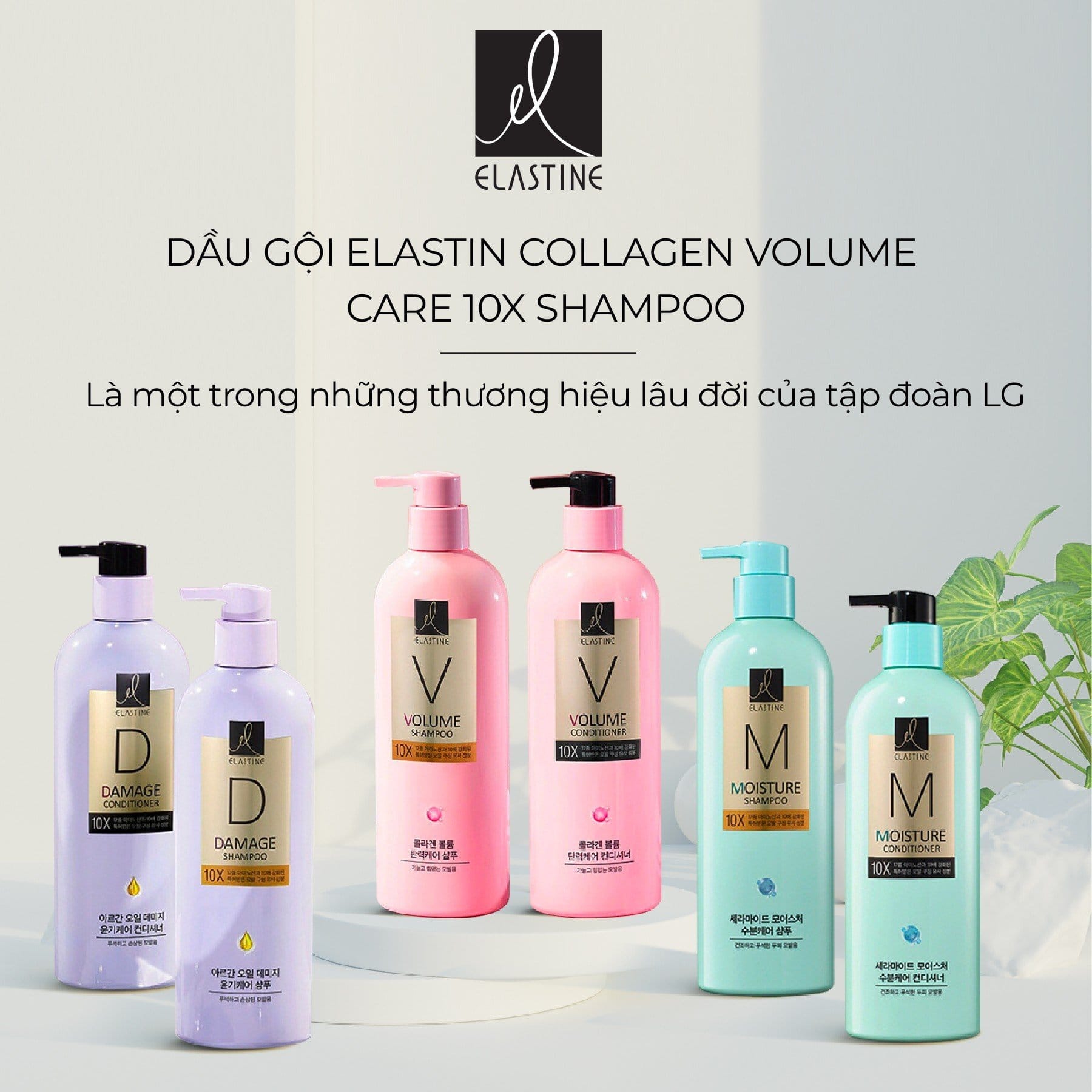 Dầu gội, dầu xả elastin 680ml- wangji