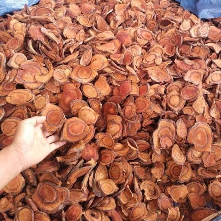 Cây kê huyết đằng 1kg, cỏ máu tăng cân nguyên chất khô - giúp tăng cân, bổ máu, đẹp da