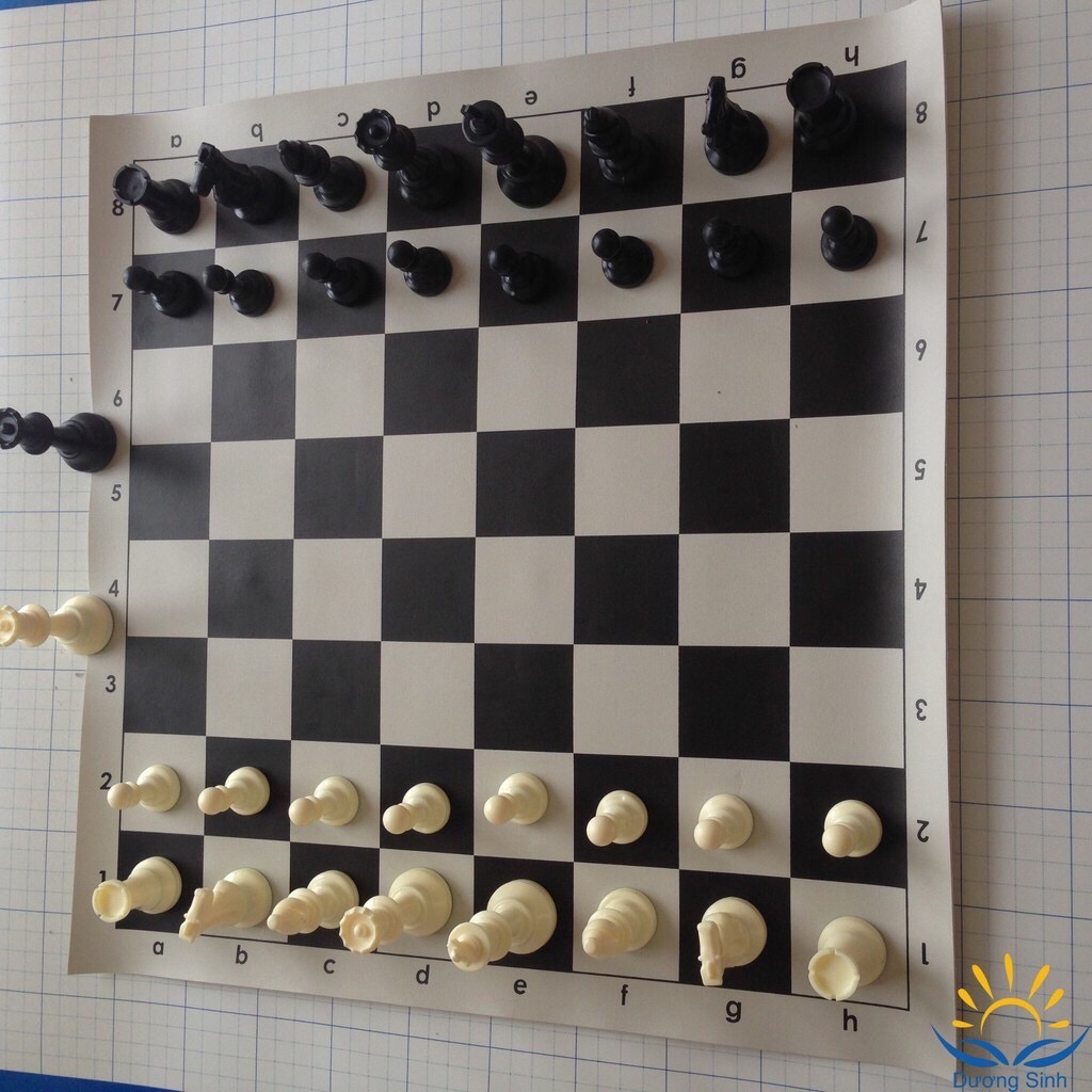 Rẻ vô địch ⚡Bộ cờ vua giấy phát triển trí tuệ, nhựa cứng, an toàn, bền đẹp, chất lượng, giá rẻ