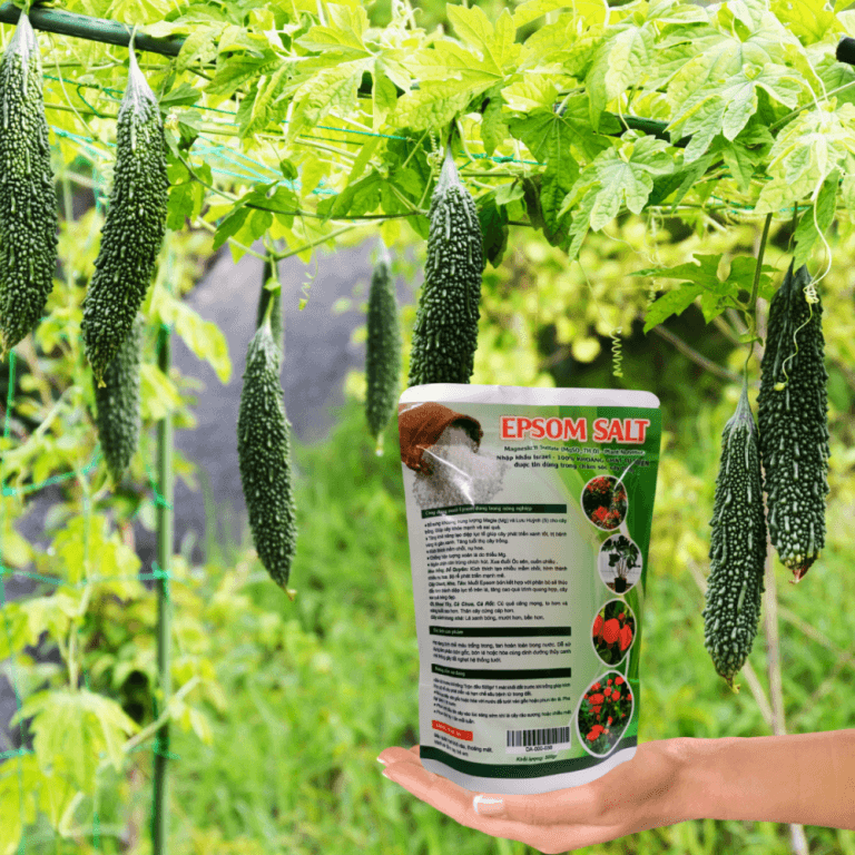 Muối EPSOM SALT 500gr (MgSO4.7H2O) phân trung lượng, Giúp cây xanh lá – tăng sức chống chịu sâu bệnh (Vườn Sài Gòn )