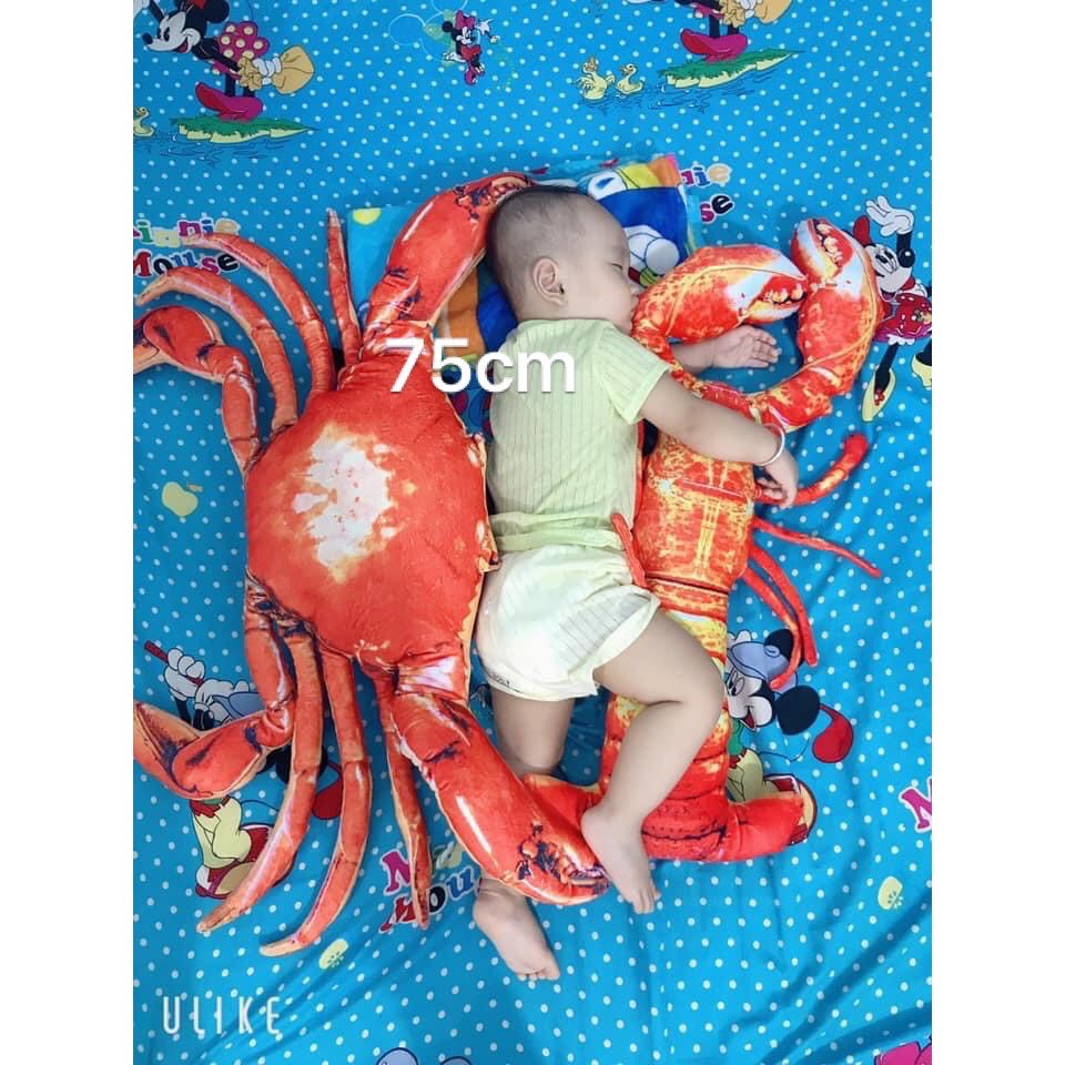 Gối ôm tôm cua ghẹ 3D