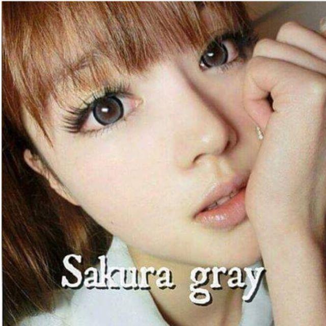 [HCM]lens sakura gray - sử dụng 1 năm tặng kèm khây đựng