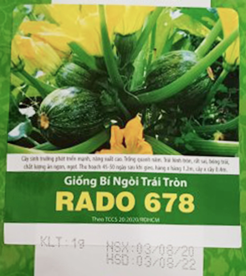 CÂY ĂN QUẢ-BÍ NGÒI TRÒN -GÓI 1 GRAM-10 HẠT I RD678 -HẠT GIỐNG TUYỂN CHỌN TỈ LỆ NẢY MẦM80%