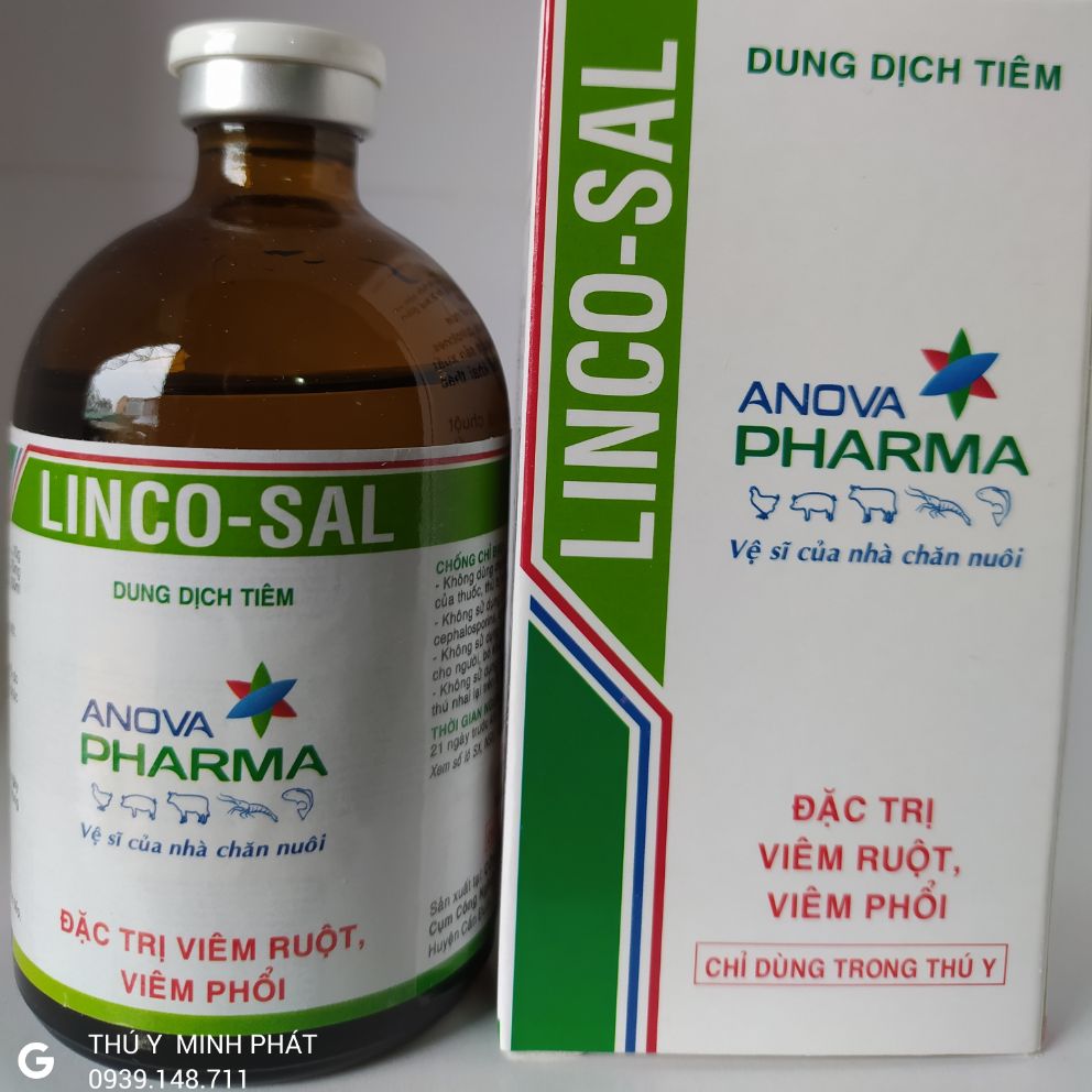 LINCO- SAL CHAI 100ML (lincosal 100ml)