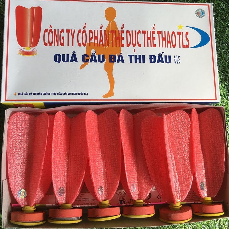 Cầu Đá Thi Đấu TLS