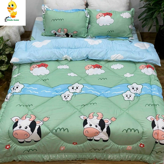Chăn phao trần bông liền ruột vải cottong poly siêu ấm