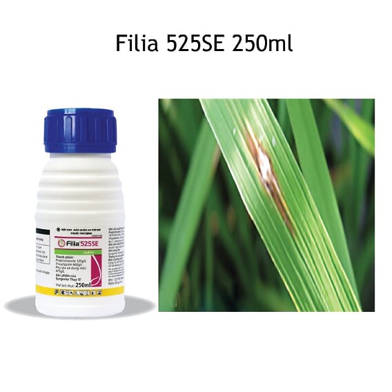 Thuốc trừ bệnh đạo ôn lá, đạo ôn cổ bông Filia 525 SE 250ml
